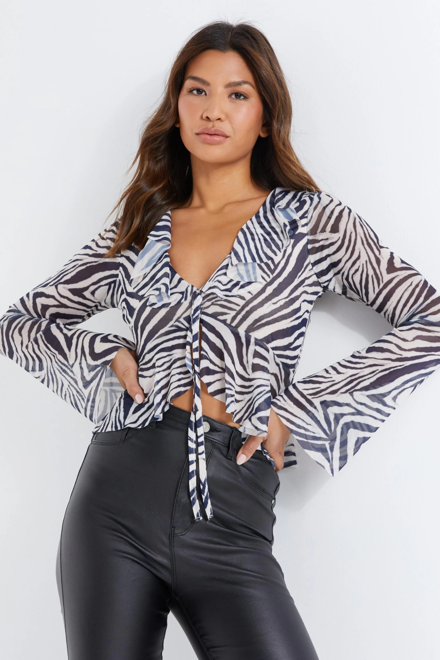 Stone Zebra Print Mesh Top - Image 2